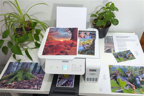 Can Epson 2800 Print 11x17 Inches: A Detailed Analysis of its Print Capabilities